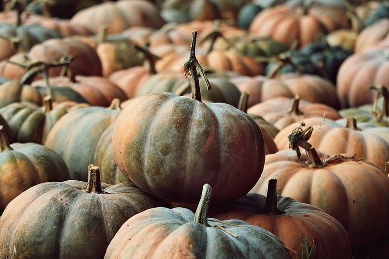 Autumn Pumpkin